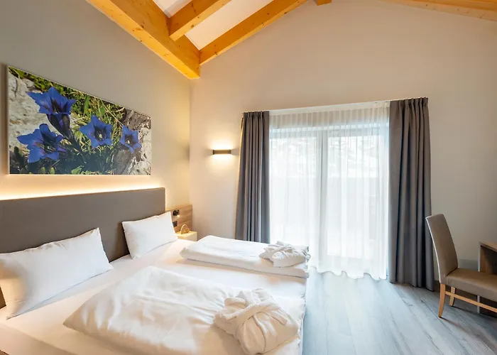 Chalet Aster